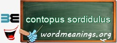 WordMeaning blackboard for contopus sordidulus